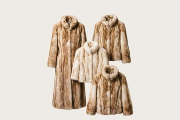 秀屿区回收皮草衣服